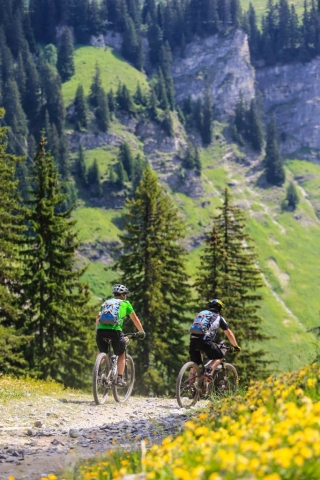 Pass'Portes du Soleil MTB - Franck Oddoux/Test4outside.com