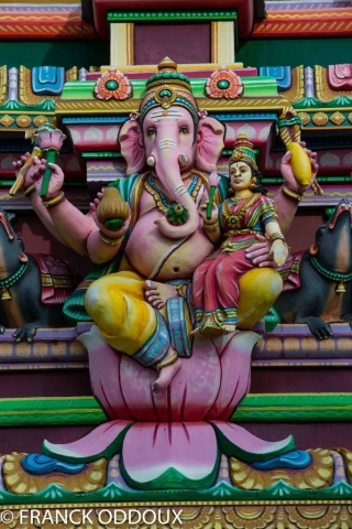 Grand Raid Réunion / Franck Oddoux - Test4outside.com