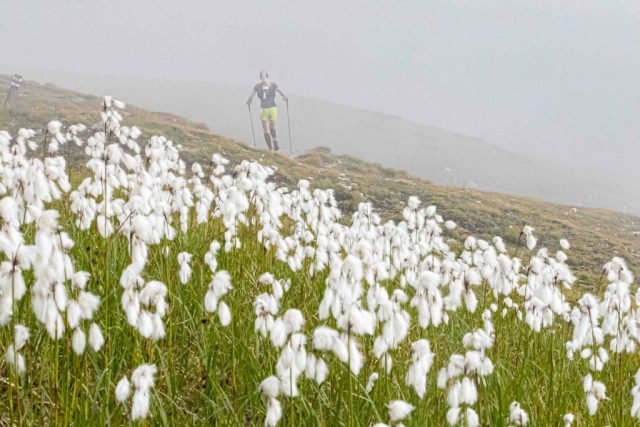 UTMB - F.Oddoux/Test4outside.com