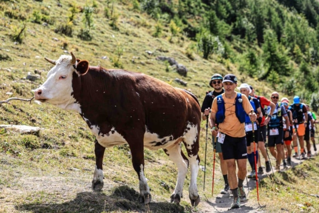 UTMB / Franck Oddoux - Test4outside